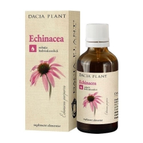 Echinacea tinctura