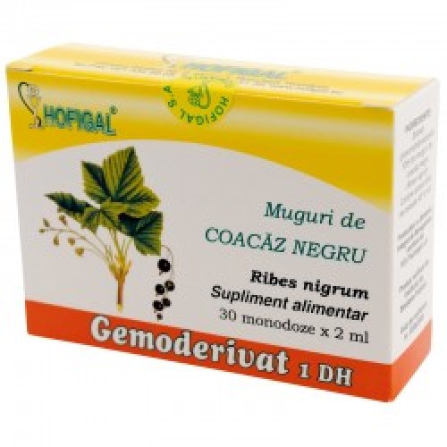 Muguri de coacaz negru - Gemoderivat