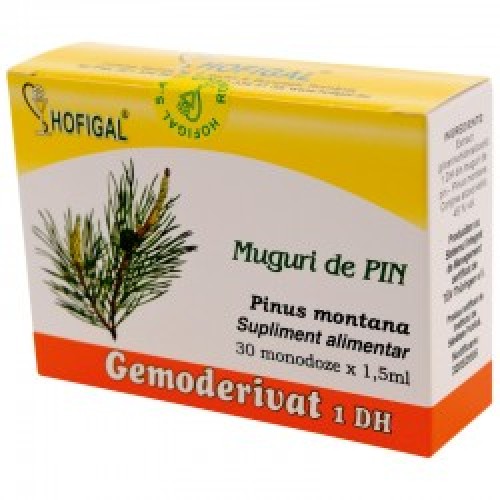 Muguri de pin - Gemoderivat