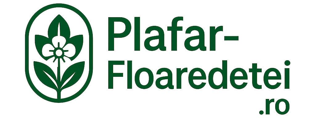 Plafar Floare De Tei